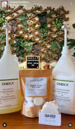 Unit B - 308B Queen Street S, Caledon, ON 