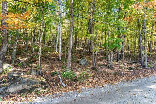 Land/Lot - Ch. Des Diligences, Austin, QC 