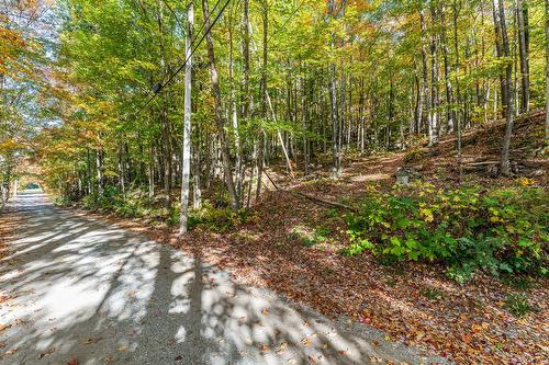 Land/Lot - Ch. Des Diligences, Austin, QC 