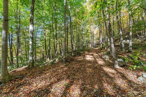 Land/Lot - Ch. Des Diligences, Austin, QC 