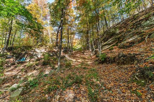 Land/Lot - Ch. Des Diligences, Austin, QC 