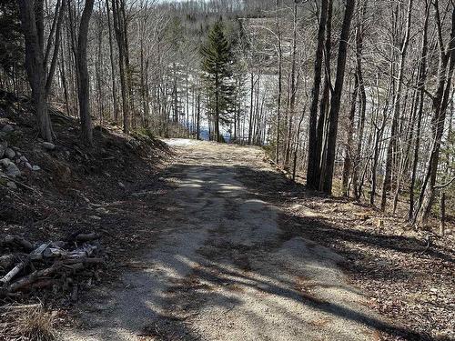 Lot 2B Highway 14, Windsor Road, NS 