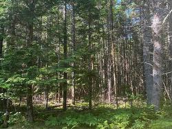 Lot PID60493061 Huey Lake Road  Mount Pleasant, NS B0R 1G0