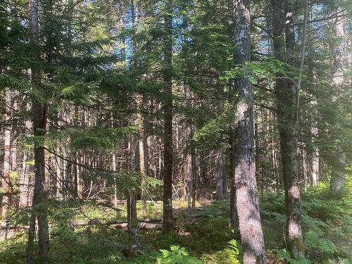 Lot Pid60493061 Huey Lake Road, Mount Pleasant, NS 