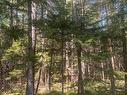 Lot Pid60493061 Huey Lake Road, Mount Pleasant, NS 