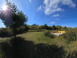 56 North Road  Charlos Cove, NS B0H 1T0