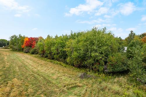 Photo aérienne - Rue Robitaille, Granby, QC 