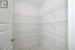 Walk in Pantry - 