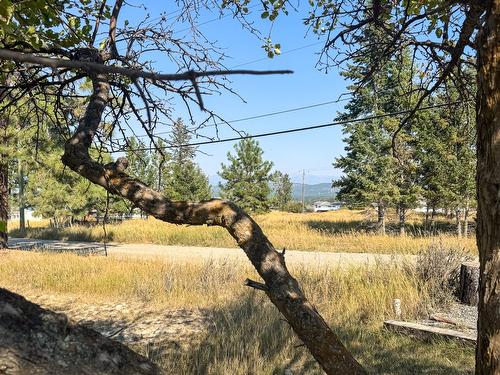 1405 12Th Avenue, Cranbrook, BC - Outdoor With View