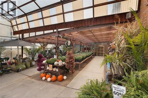 585 Seacliff Drive, Kingsville, ON 