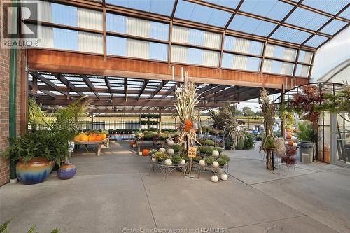 585 Seacliff Drive, Kingsville, ON 