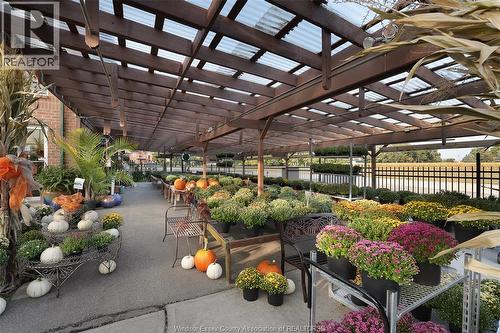 585 Seacliff Drive, Kingsville, ON 