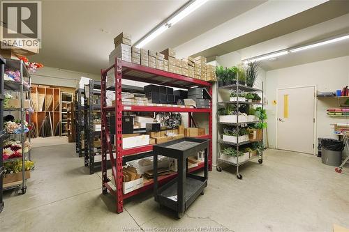 585 Seacliff Drive, Kingsville, ON 