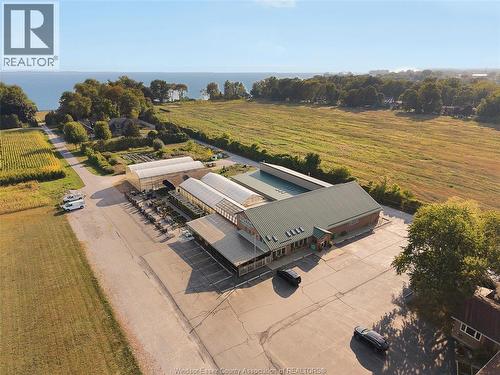 585 Seacliff Drive, Kingsville, ON 