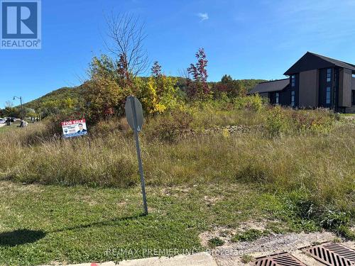 102 Maryward Crescent, Blue Mountains, ON 