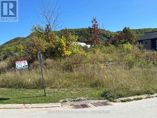 102 Maryward Crescent, Blue Mountains, ON 