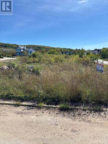 102 Maryward Crescent, Blue Mountains, ON 