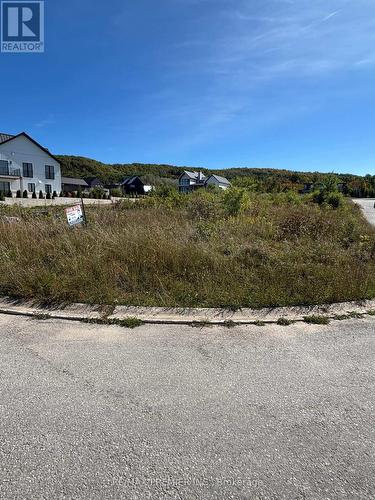 102 Maryward Crescent, Blue Mountains, ON 