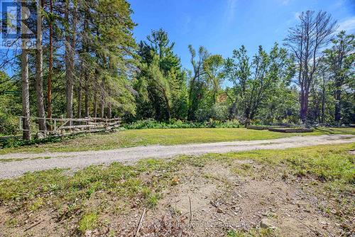 1230 Forsters Road, Minden Hills (Lutterworth), ON - Outdoor With View