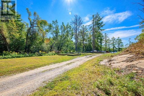 1230 Forsters Road, Minden Hills (Lutterworth), ON - Outdoor With View