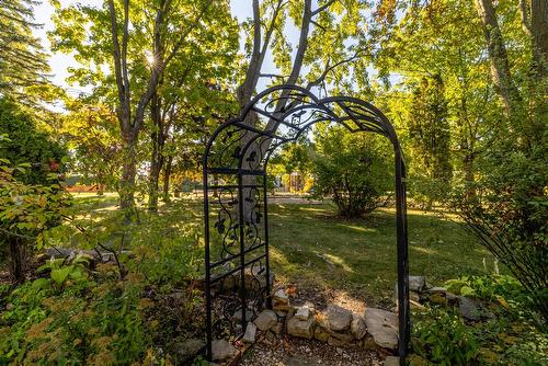 Backyard - 53 Rue Chartres, Dollard-Des-Ormeaux, QC - Outdoor