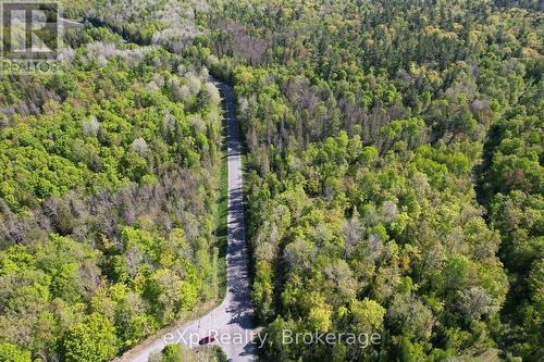 457 Centre Road, Mckellar, ON 