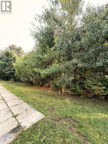 View off the back deck. - 45 - 200 Pine Street, Bracebridge (Macaulay), ON - Outdoor