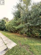 View off the back deck. - 