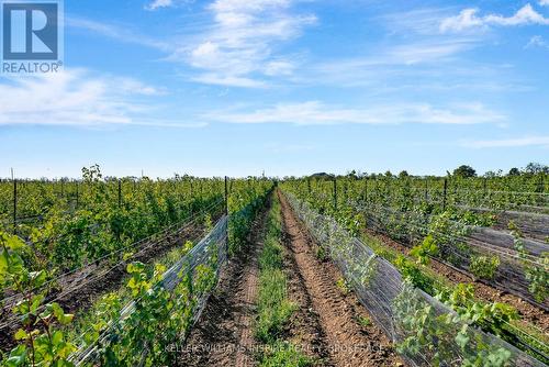 18055 Loyalist Parkway, Prince Edward County (Hillier Ward), ON 