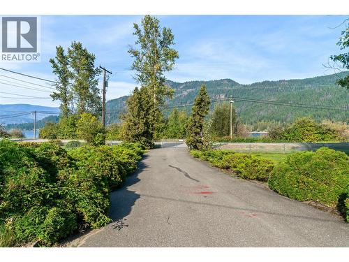 driveway - 2602 Blind Bay Road, Blind Bay, BC - Outdoor With View