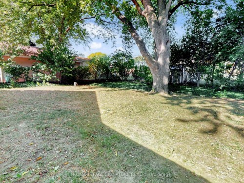 22 Sherwood Avenue, Kitchener, ON - Outdoor