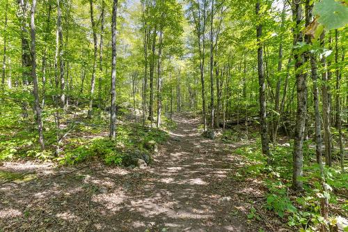 Terre/Terrain - 30Z Ch. Des Cavernes, Cantley, QC 