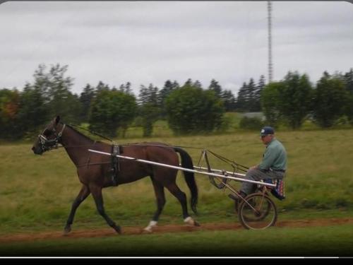 3941 Rte 3, Summerville, PE 