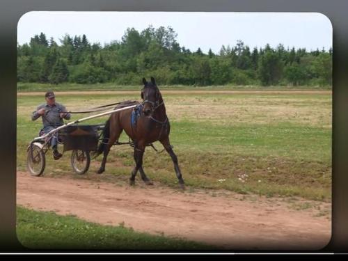 3941 Rte 3, Summerville, PE 