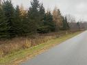 Lot 5 New Cheverie Road, Lower Burlington, NS 