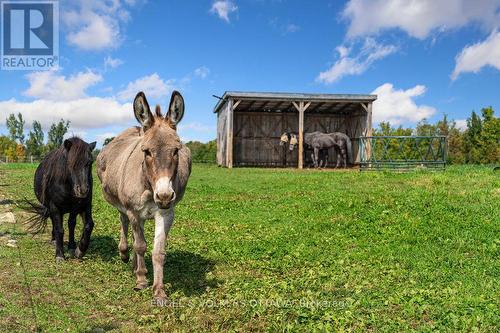 12420 Ormond Road, North Dundas, ON 