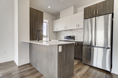 Kitchen - 405-2020 Rue Lucien-Thimens, Montréal (Saint-Laurent), QC - Indoor Photo Showing Kitchen With Upgraded Kitchen