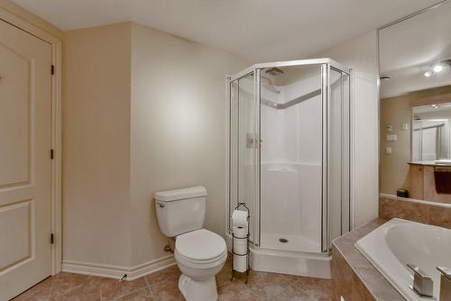 Bathroom - 2-65 Rue Du Sanctuaire, Sainte-Julie, QC - Indoor Photo Showing Bathroom