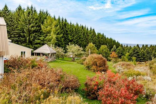 Terre/Terrain - 1000 10E Rang, Saint-Herménégilde, QC - Outdoor With View
