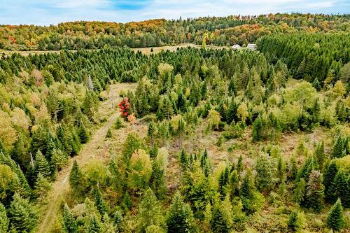Photo aérienne - 1000 10E Rang, Saint-Herménégilde, QC - Outdoor With View
