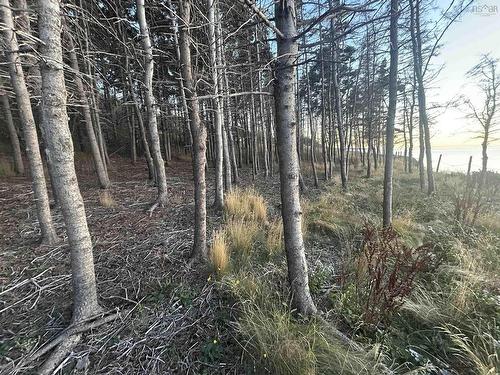 Lot 10-2 Highway 337, Morar, NS 