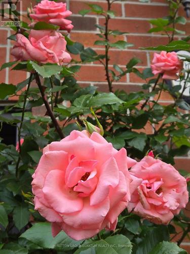 33 - 300 Ravineview Way, Oakville, ON - Outdoor