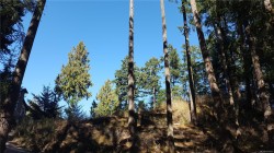 4622 Sailor Rd  Pender Island, BC V0N 2M0