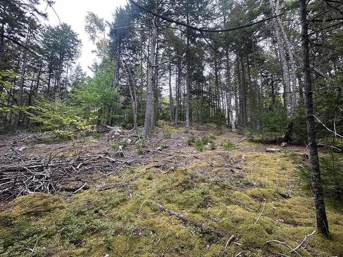 Lot 2 Narrows Road, Labelle, NS 