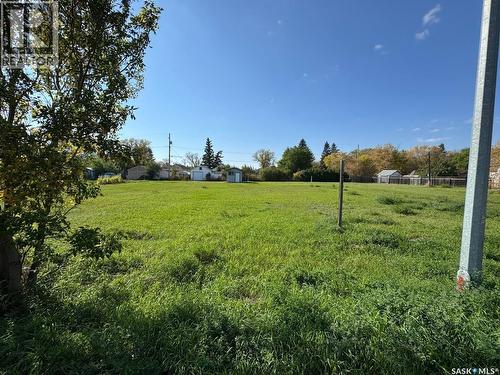 217 James Street, Radisson, SK 