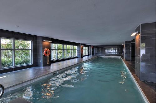 Pool - 703-288 Rue Ann, Montréal (Le Sud-Ouest), QC - Indoor Photo Showing Other Room With In Ground Pool