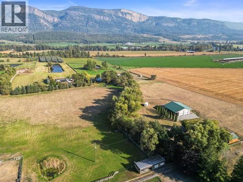 6619 Highway 97A Highway N, Enderby, BC - Outdoor With View