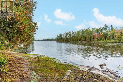 Block B Crego Lake Road, Kawartha Lakes, ON 