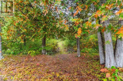 Block B Crego Lake Road, Kawartha Lakes, ON 