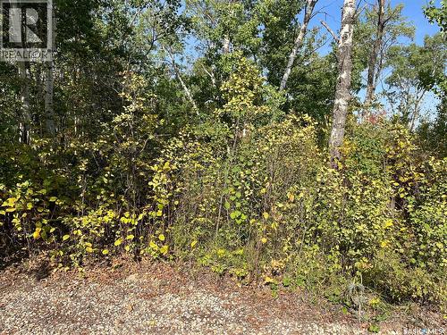 645 Willow Point Way, St. Brieux, SK 